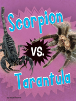 Scorpion_vs__Tarantula
