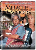 Miracle in the woods