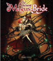 The ancient Magus' bride