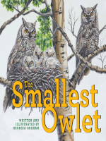 Smallest_Owlet