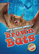 Brown_bats