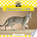 Singapura_cats