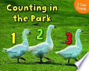Counting_at_the_park