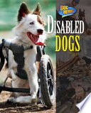 Disabled_dogs
