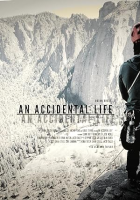 An_Accidental_Life