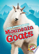 Mountain_goats