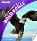 A_day_in_the_life_of_a_bald_eagle