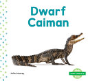 Dwarf_caiman