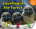 Counting_in_the_forest