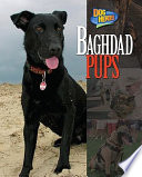 Baghdad_pups