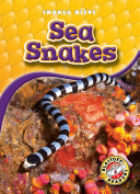 Sea_snakes