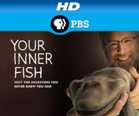 Your_Inner_Fish