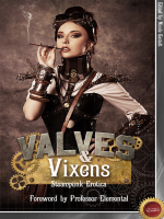 Valves___Vixens