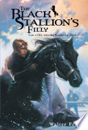 The_black_stallion_s_filly