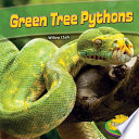 Green tree pythons