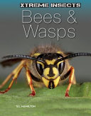 Bees & wasps
