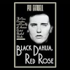 Black_Dahlia__Red_Rose