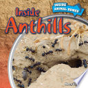 Inside_anthills